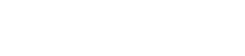 Nx Witness